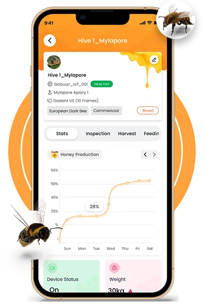 beehive monitoring