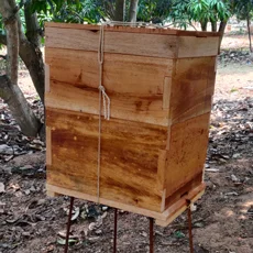 langstroth-beehives-4