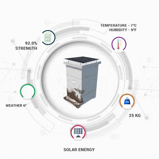 World's Best Smart Beehive Monitoring System Gobuzzr