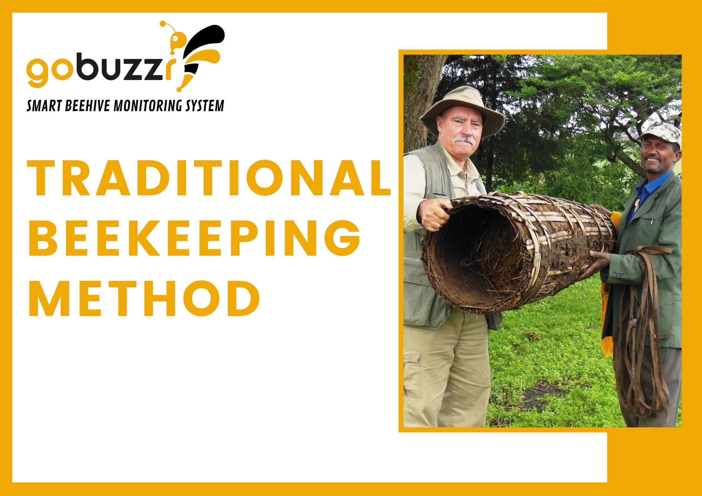 traditional beekeeping