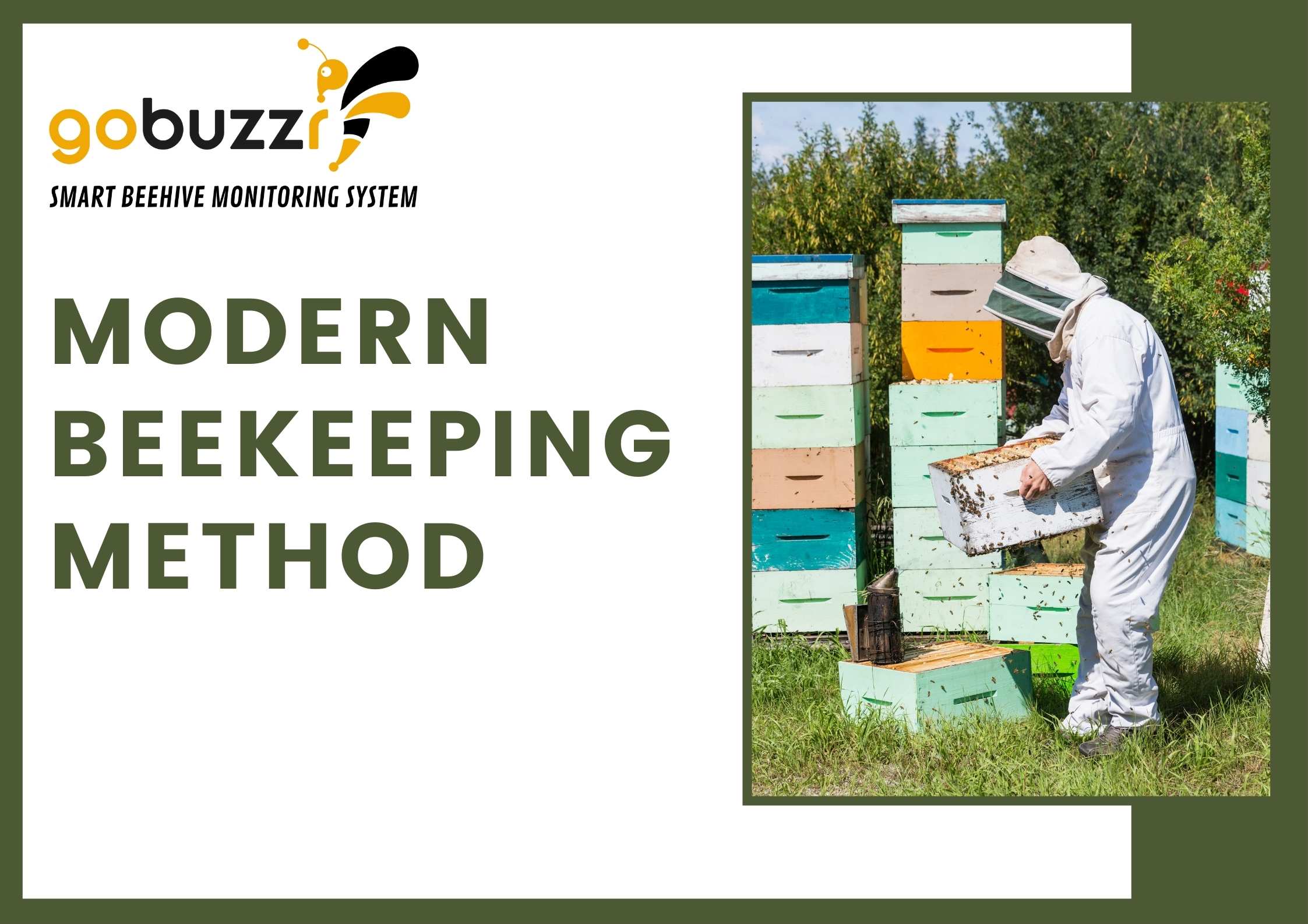 Modern beekeeping